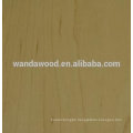 Natural wood veneer Canadian maple plywood sheet